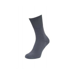 Regina Socks Purista Antybakteriální Froté Pánské ponožky, 39-42, šedá