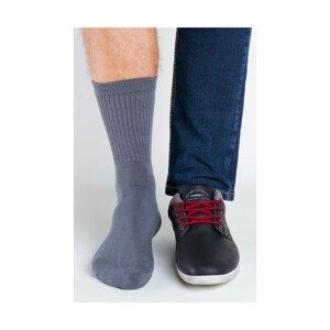 Regina Socks Polofroté Bambus Pánské ponožky, 43-46, Grafitová