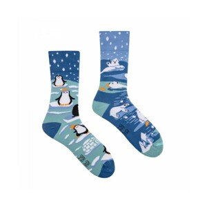Spox Sox Penguins and Polar Bears Ponožky, 40-43, Více barevná