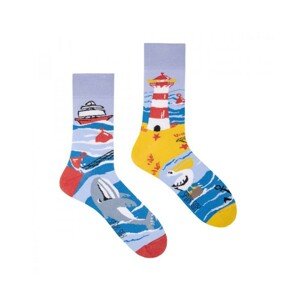 Spox Sox Sea cost Ponožky, 36-39, Více barevná