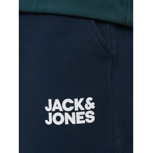JACK & JONES Kalhoty noční modrá / bílá
