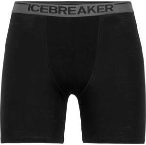 ICEBREAKER Sportovní spodní prádlo šedá / černá