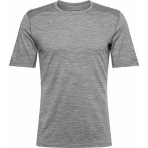 ICEBREAKER Funkční tričko '200 Oasis' šedý melír