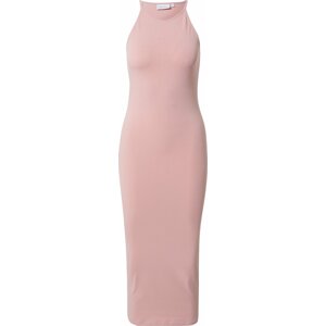 Calvin Klein Šaty 'PRIDE' mix barev / růžová