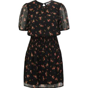 Dorothy Perkins Tall Letní šaty mix barev / černá