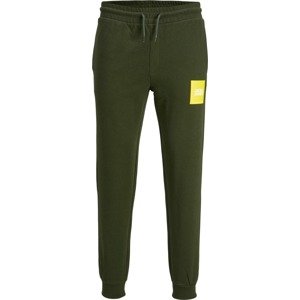 Jack & Jones Plus Kalhoty 'Gordon Lock' žlutá / zelená