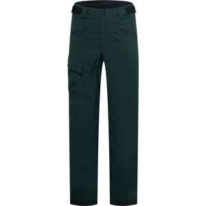 ADIDAS TERREX Sportovní kalhoty světle šedá / zelená / černá