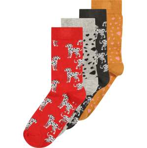 EWERS Ponožky 'DALMATINER' hnědá / světle šedá / ohnivá červená / bílá