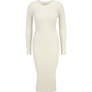 AllSaints Úpletové šaty 'LOLEATTA' barva bílé vlny