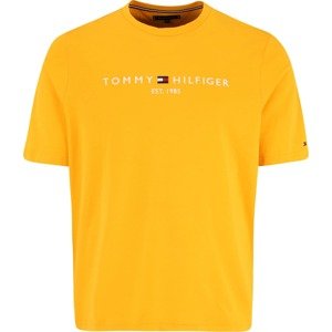 Tommy Hilfiger Big & Tall Tričko námořnická modř / žlutá / červená / bílá