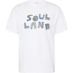 Soulland Tričko mix barev / bílá