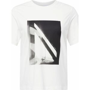 Calvin Klein Curve Tričko světle šedá / černá / bílá