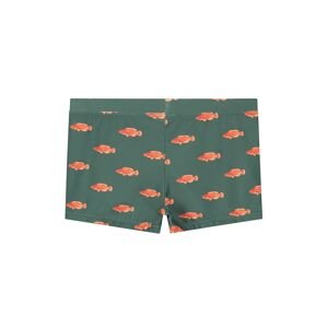 Shiwi Plavecké šortky zelená / oranžová