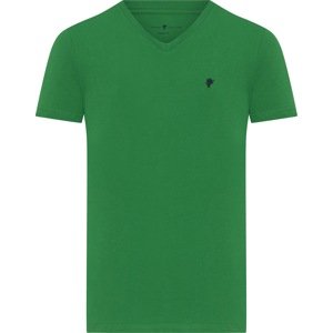 DENIM CULTURE Tričko 'Barrow' zelená
