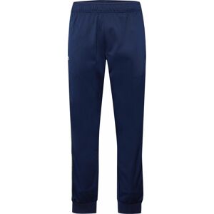 Lacoste Sport Sportovní kalhoty námořnická modř / žlutá / zelená
