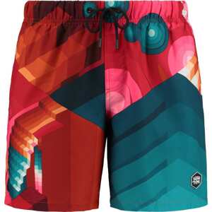 Shiwi Plavecké šortky 'June Miami 1' mix barev