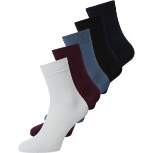 BJÖRN BORG Sportovní ponožky námořnická modř / pastelová modrá / bordó / černá