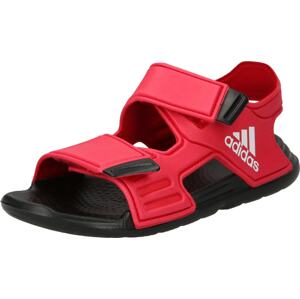 ADIDAS SPORTSWEAR Plážová/koupací obuv 'Altaswim' červená / černá / bílá