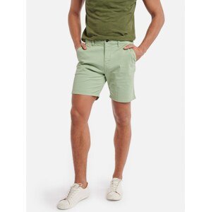 Shiwi Chino kalhoty zelená