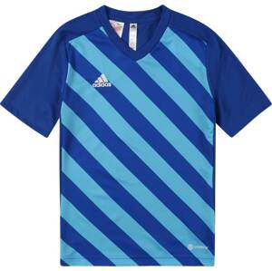 ADIDAS PERFORMANCE Funkční tričko 'Entrada 22' modrá / světlemodrá / bílá