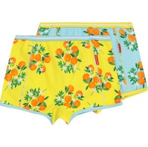 Claesen's Spodní prádlo světlemodrá / limone / oranžová / bílá