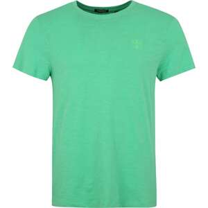 CHIEMSEE Funkční tričko rákos / světle zelená / černá