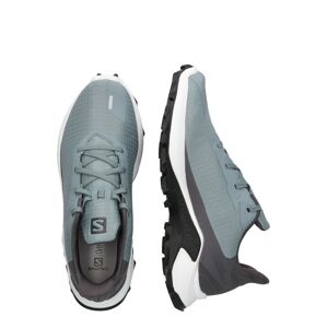 SALOMON Sportovní boty 'ALPHACROSS 3'  kouřově šedá / tmavě šedá
