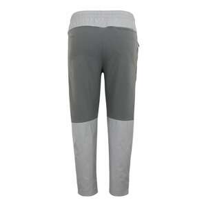 Nike Sportswear Kalhoty šedá / tmavě šedá