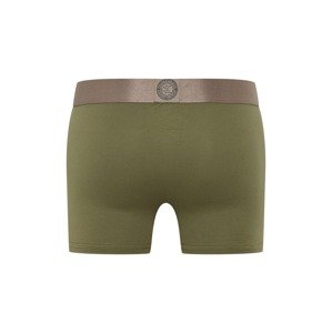 Calvin Klein Underwear Boxerky šedobéžová / zelená