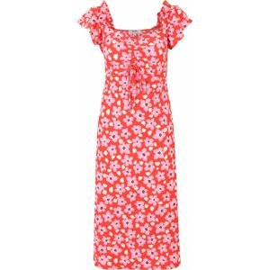 Dorothy Perkins Petite Letní šaty krémová / pink / červená