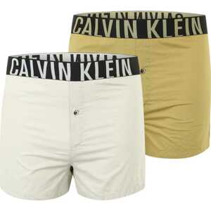 Calvin Klein Underwear Boxerky šedá / zelená / černá