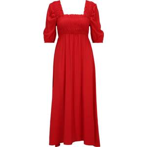 Dorothy Perkins Petite Šaty červená