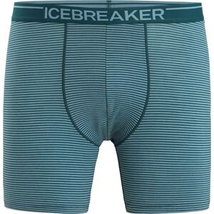 ICEBREAKER Sportovní spodní prádlo 'Anatomica' zelená / světle zelená