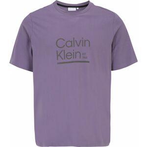 Calvin Klein Big & Tall Tričko fialová / černá