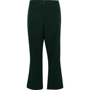 Polo Ralph Lauren Big & Tall Kalhoty tmavě zelená