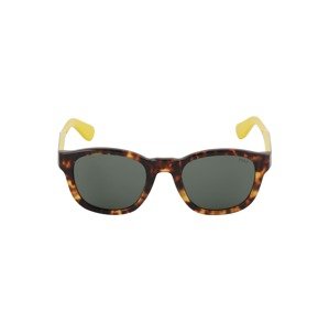 Polo Ralph Lauren Sluneční brýle '0PH4159'  hnědá / žlutá