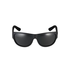 Polo Ralph Lauren Sluneční brýle '0PH4166'  černá