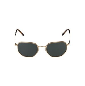 VOGUE Eyewear Sluneční brýle '0VO4186S'  karamelová / čokoládová / zlatá