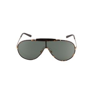 Polo Ralph Lauren Sluneční brýle '0PH3132'  hnědá / tmavě zelená