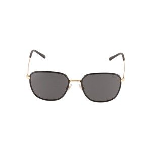 Polo Ralph Lauren Sluneční brýle '0PH3134'  zlatá / tmavě šedá