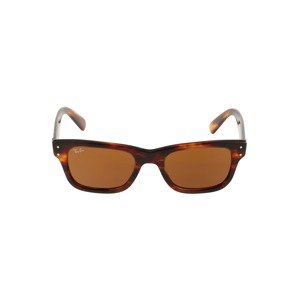 Ray-Ban Sluneční brýle '0RB2283'  hnědá / oranžová